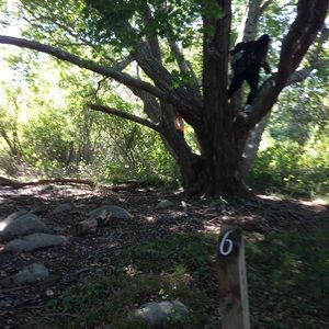 Meet your Posher, Patti